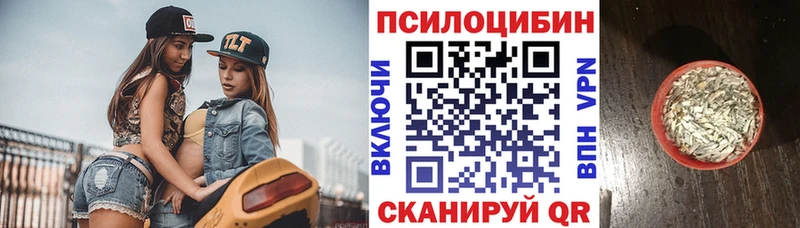 kraken онион  Баймак  Псилоцибиновые грибы прущие грибы  купить наркотик 